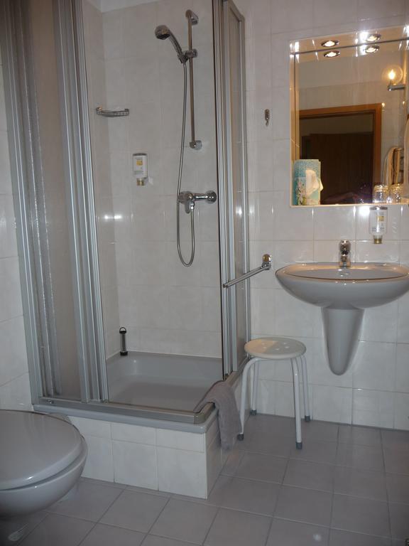 Hotel Brueckenschaenke Sebnitz Rum bild